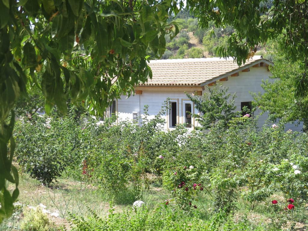 Camping Fiori Di Noto Cameră foto